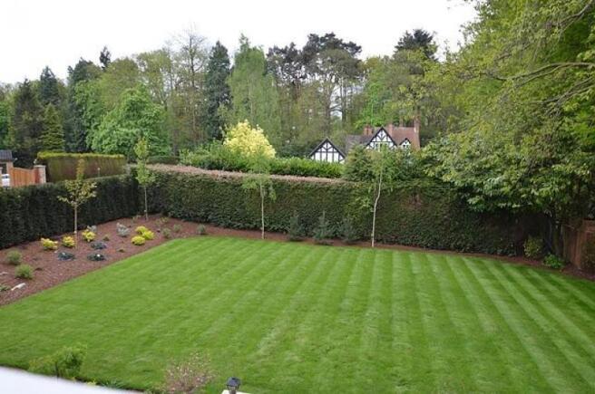Garden 3