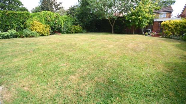 Garden 1