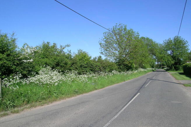 Country Lane