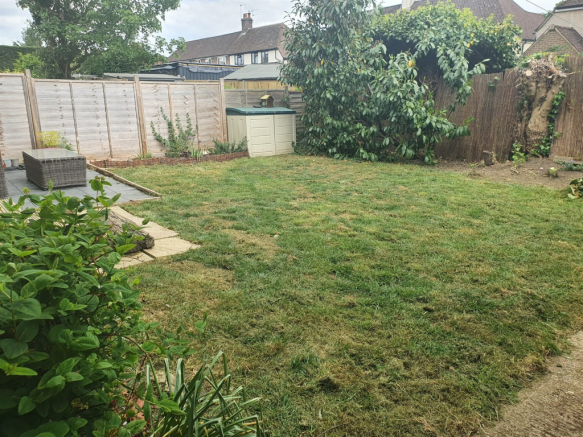 Rear Garden May