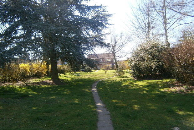 Photo 4