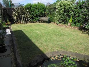 Photo 5