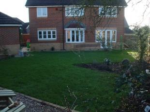 Rear Garden Shot 4