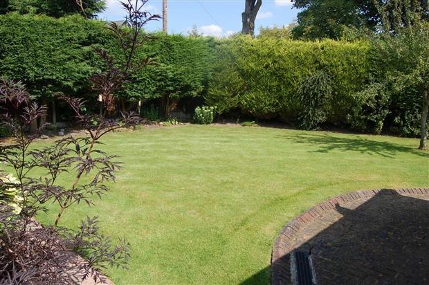 Garden 2