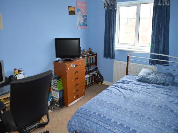 Image 11