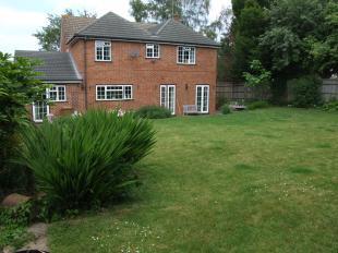 Rear elevation