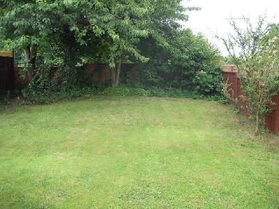 Back garden