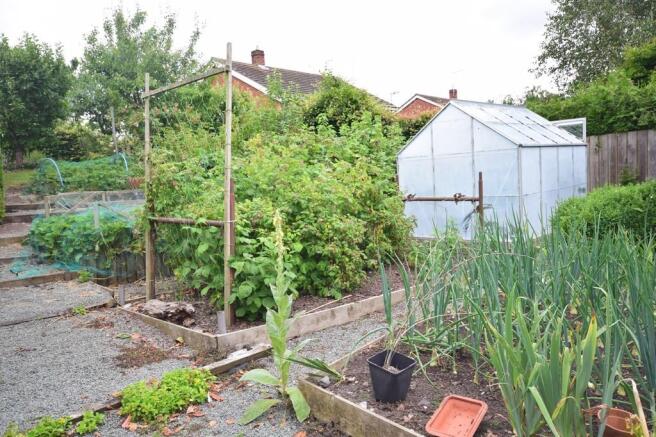 Vegetable Patch