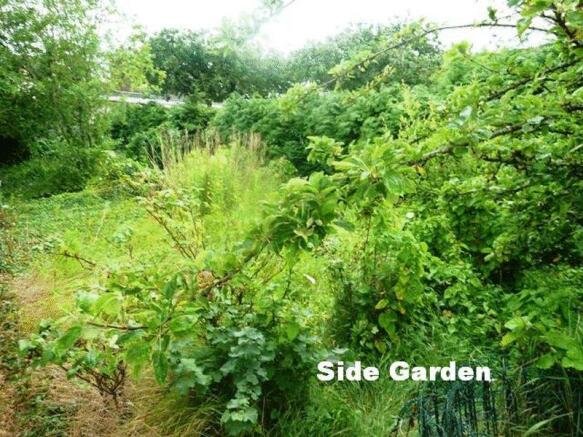 Side Garden