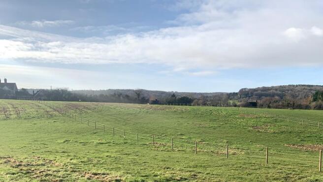 Pasture land