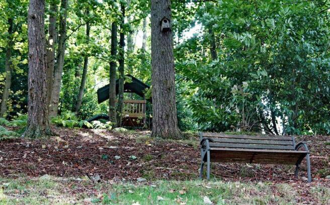 Woodland Garden