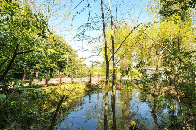Driveway and Pond