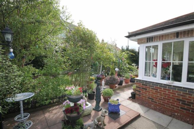 Patio 1