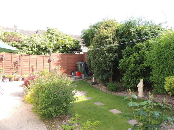 Photo 11
