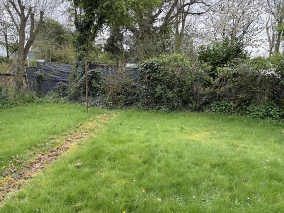 IMG 5341 T202604201213.jpeg