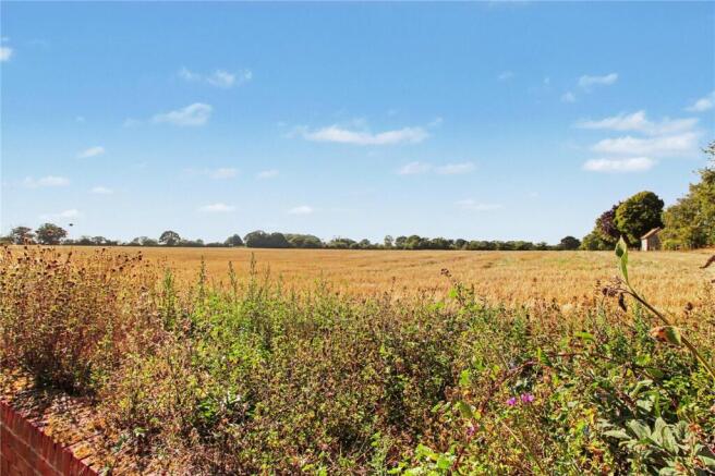 Field Views Rear