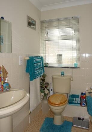 Picture 14