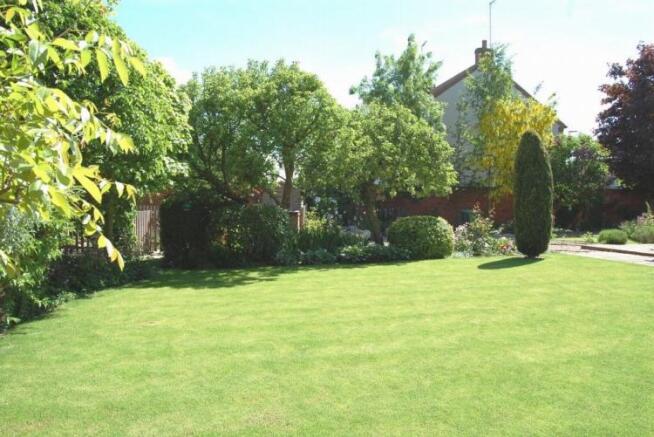 More Garden Photographs Image 2