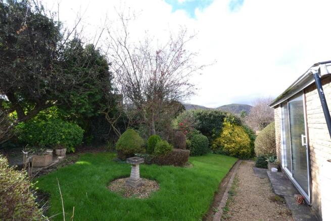 rear garden.jpg