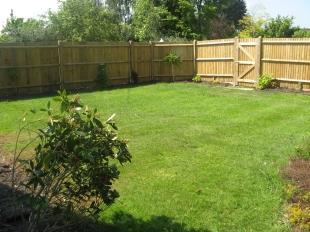 Rear Garden 2