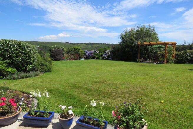 Large Lawn