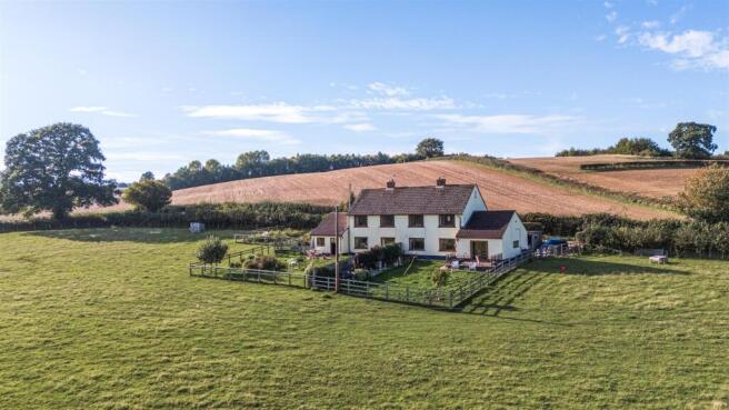 Page 4 large 1358564-30-68dc1d135b95a-ARW.jpg