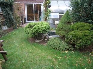 Rear Garden (2)