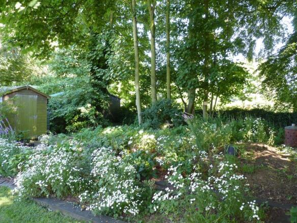 WILD GARDEN