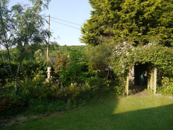 Photo 17