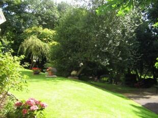 Communal Gardens