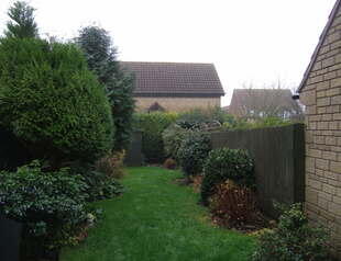 Photo 4