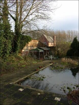 Now Garden Pond