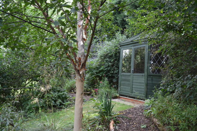 Photo 8
