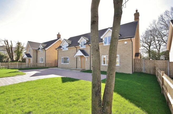 Front Plot 2
