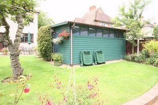 Picture 8