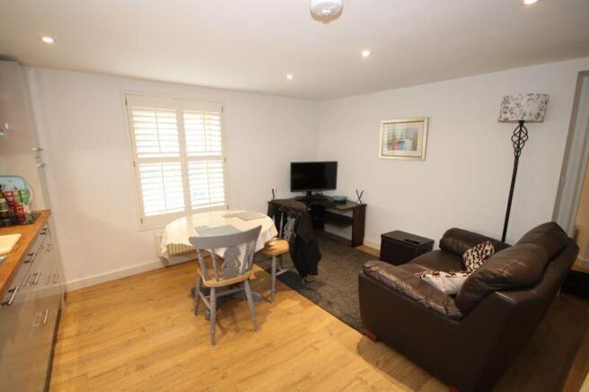 Dining/Living Space