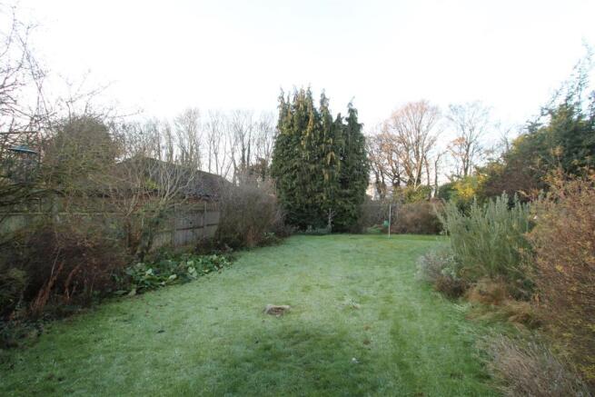 Garden.JPG