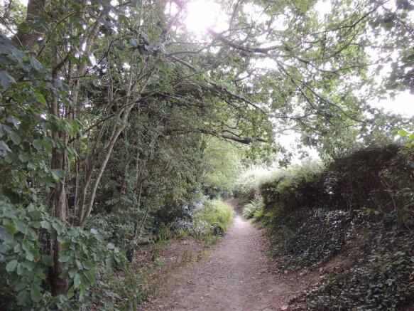 Photo 10