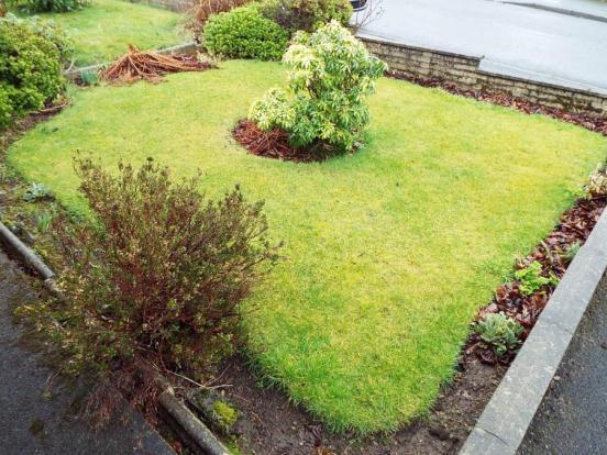 FRONT GARDEN