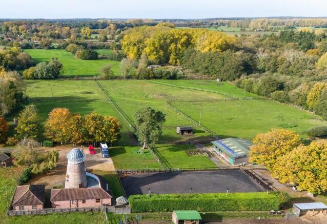 TWWThe Windmill -...