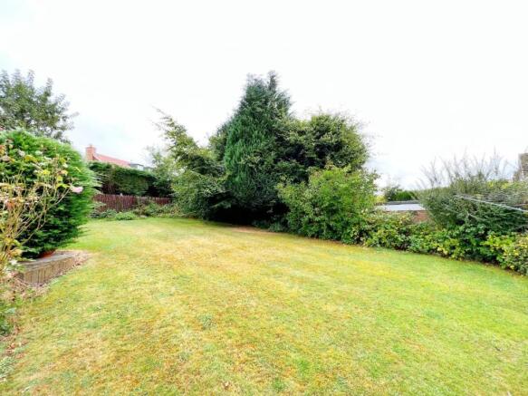 Garden 4.jpg
