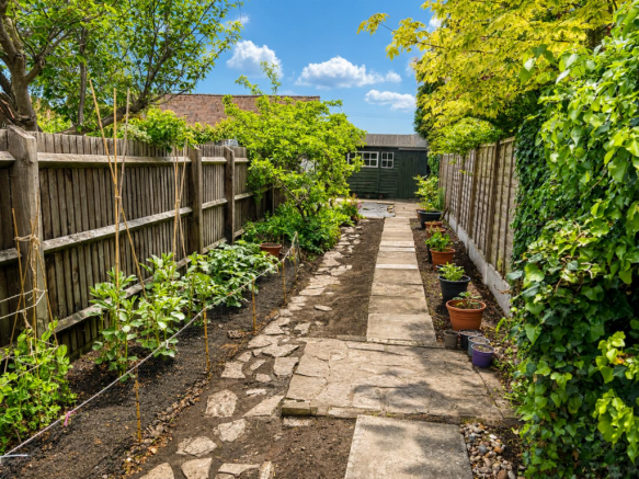 The Rear Garden