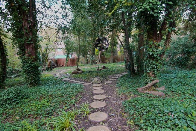 Wooded Area 1.jpg