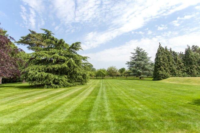 Grounds