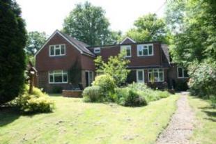 Rear Elevation