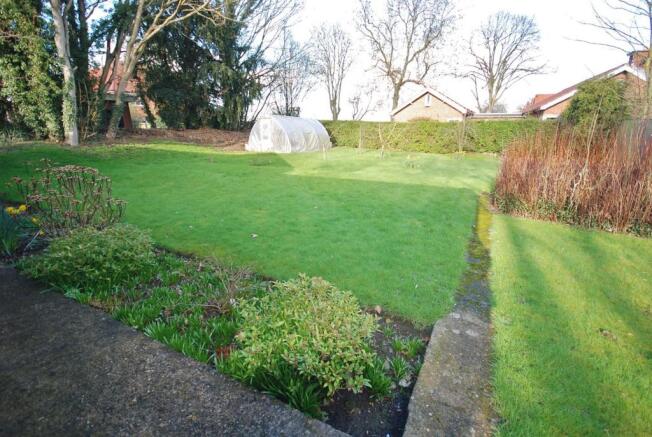 a garden.jpg