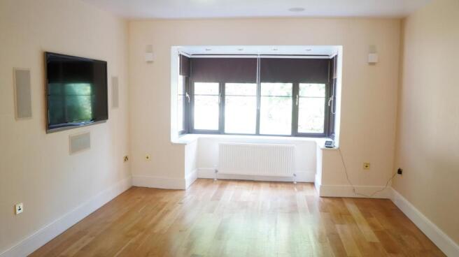 Cinema/TV room