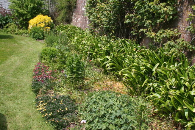 Wall and Flowers 2