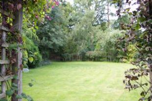 Garden 2