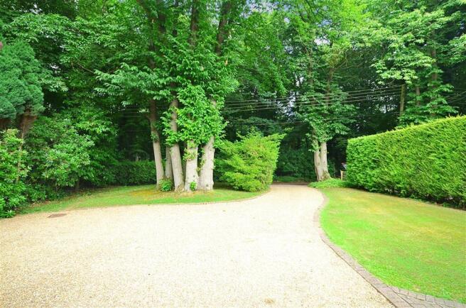 Driveway/Parking